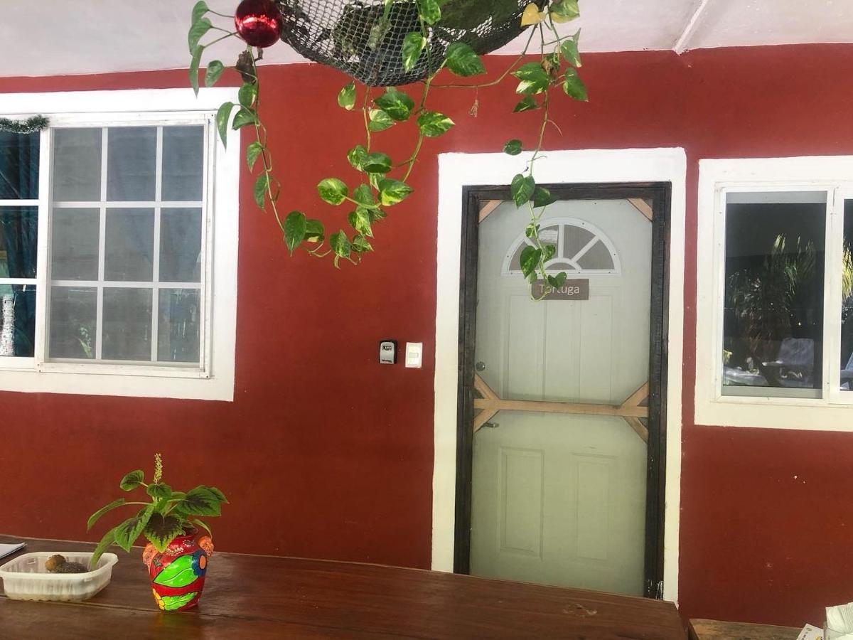 Habitacion Tortuga Casa Maria Bonita El Cuyo Zewnętrze zdjęcie