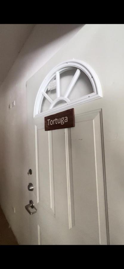 Habitacion Tortuga Casa Maria Bonita El Cuyo Zewnętrze zdjęcie